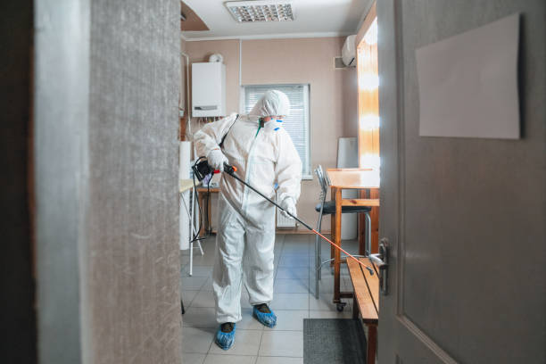Best Mold Prevention Services  in North Conway, NH