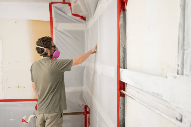 Environmental Consulting for Mold Prevention in North Conway, NH