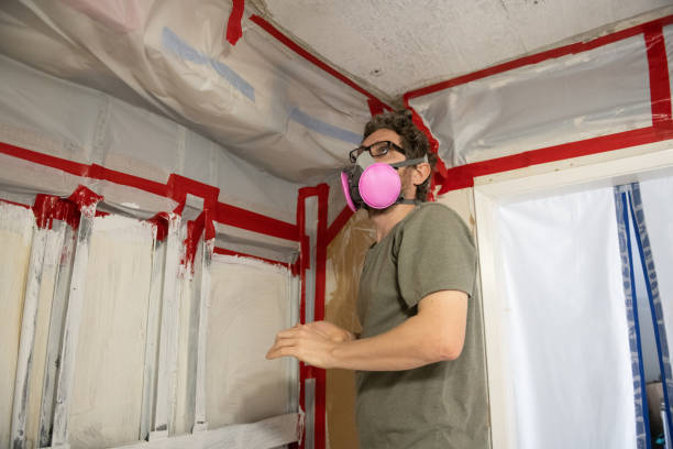 Reliable North Conway, NH Mold Removal Solutions