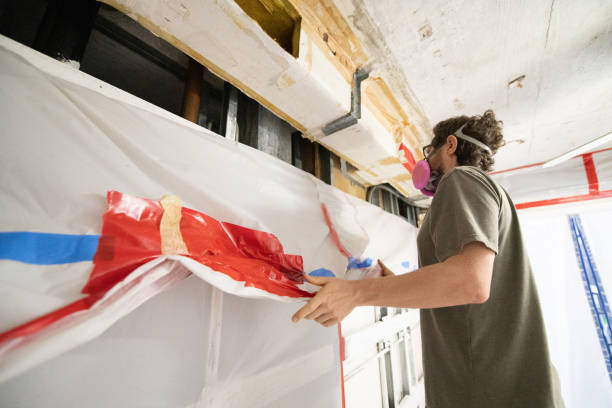 Best Mold Removal for HVAC Installations  in North Conway, NH