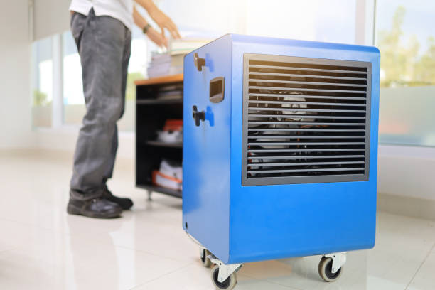 Best Biohazard Mold Removal  in North Conway, NH