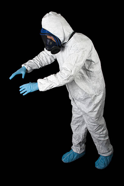 Best Environmental Consulting for Mold Prevention  in North Conway, NH
