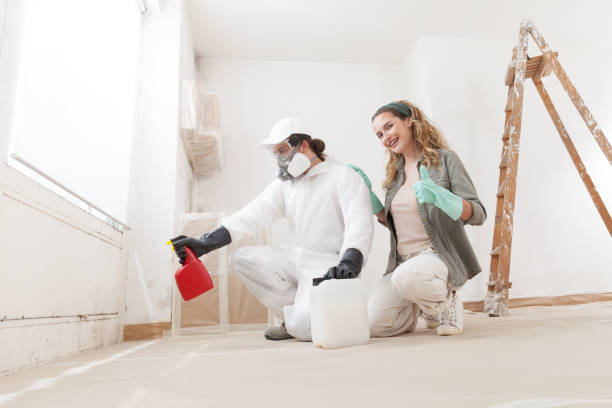 Best Asbestos and Lead Testing During Mold Inspection  in North Conway, NH