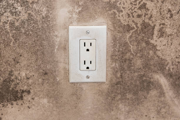  North Conway, NH Mold Removal Pros